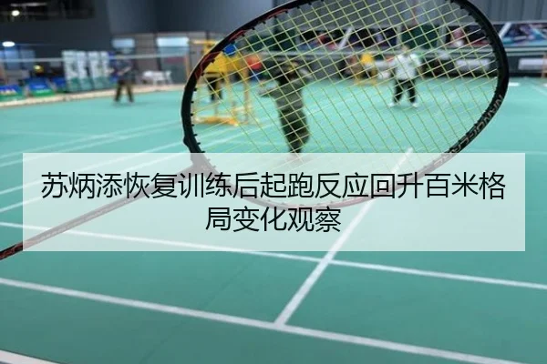 苏炳添恢复训练后起跑反应回升百米格局变化观察